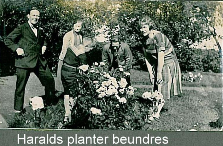 Harald planter beundres