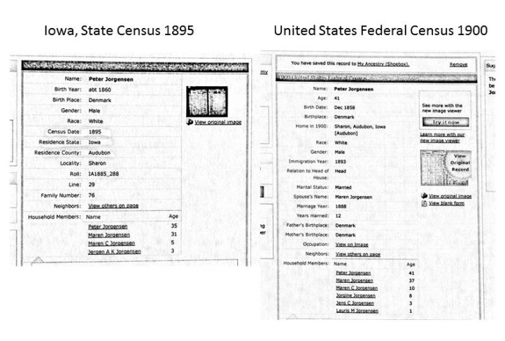 Census 1895 og 1900