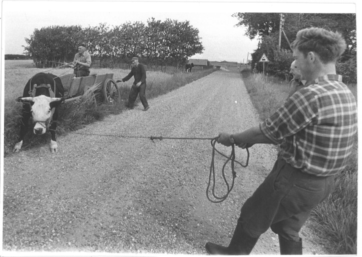 Hvordan Venste kørte i grøften