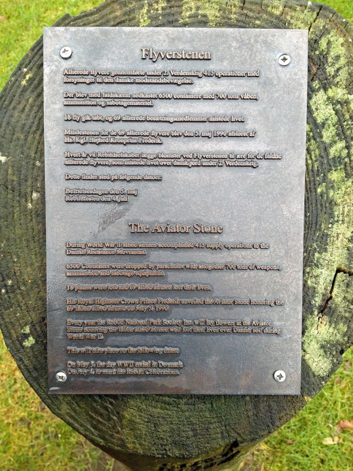 Flyverstene - Rebild-1