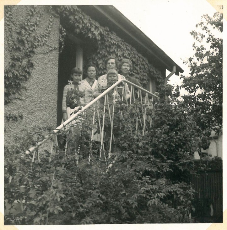 Thor Langes Vej Odense